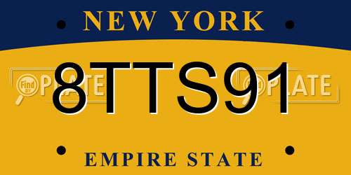 8TTS91 New York License Plate