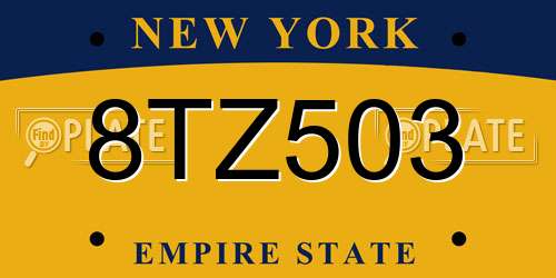 8TZ503 New York License Plate
