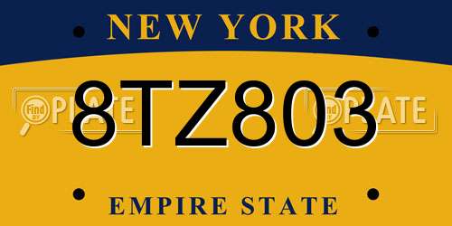 8TZ803 New York License Plate