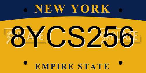 8YCS256 New York License Plate