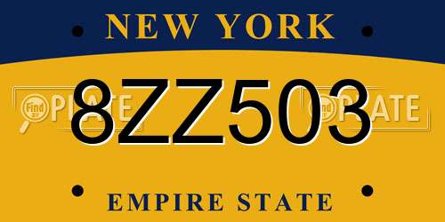 8ZZ503 New York License Plate