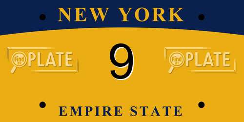 9 New York License Plate