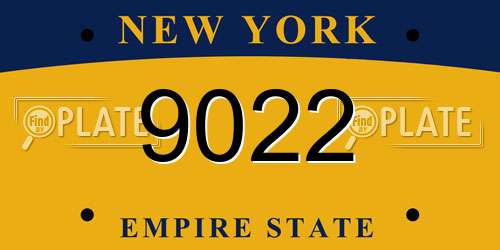 9022 New York License Plate