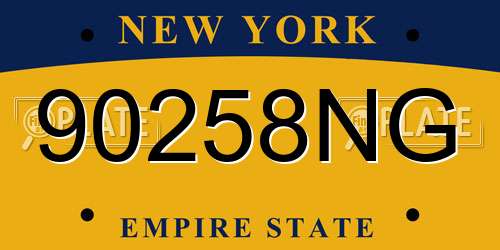 90258NG New York License Plate