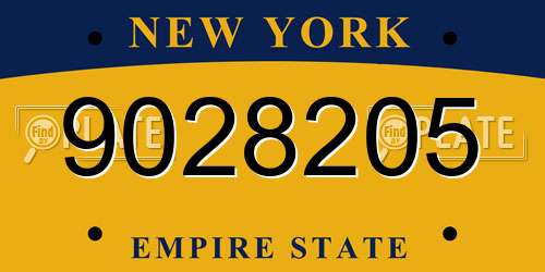 9028205 New York License Plate