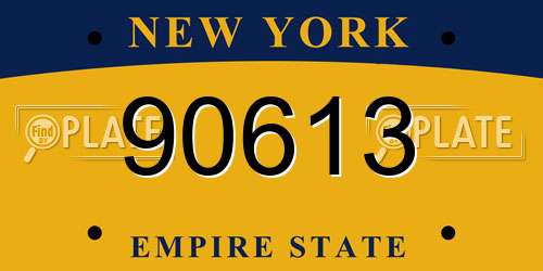 90613 New York License Plate