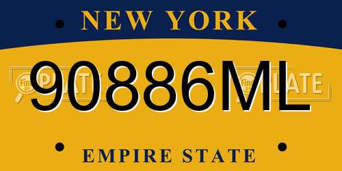 90886ML New York License Plate