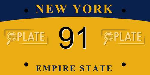91 New York License Plate