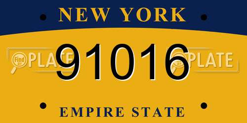 91016 New York License Plate