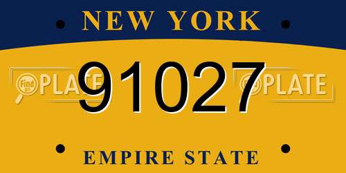 91027 New York License Plate