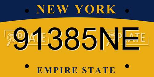 91385NE New York License Plate
