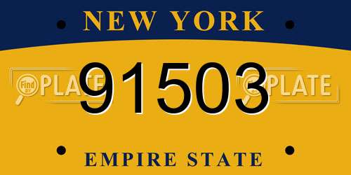 91503 New York License Plate