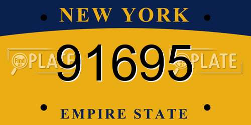 91695 New York License Plate