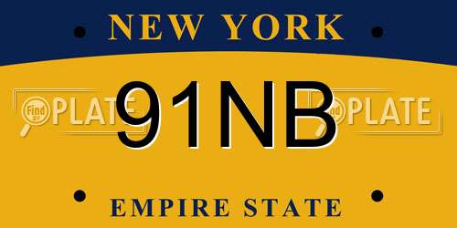 91NB New York License Plate