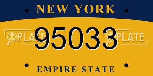95033 New York License Plate