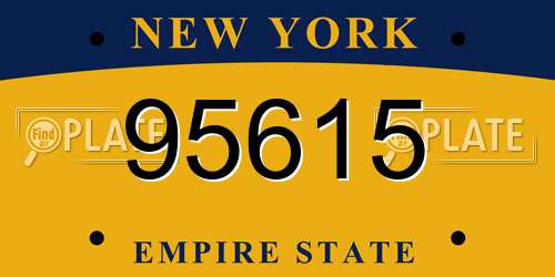 95615 New York License Plate