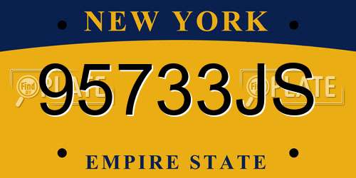 95733JS New York License Plate