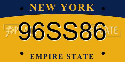 96SS86 New York License Plate