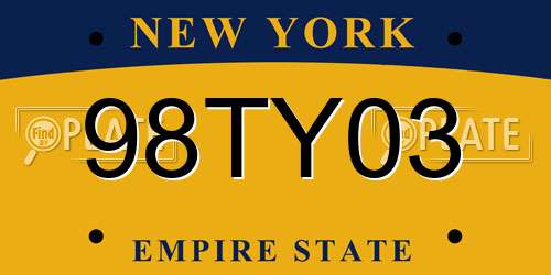 98TY03 New York License Plate