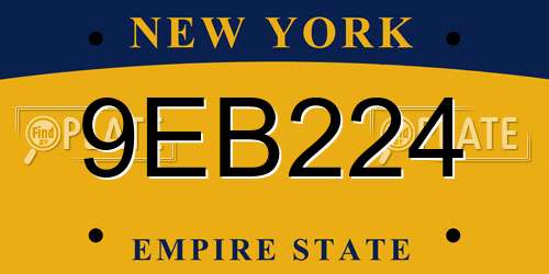 9EB224 New York License Plate
