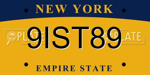 9IST89 New York License Plate