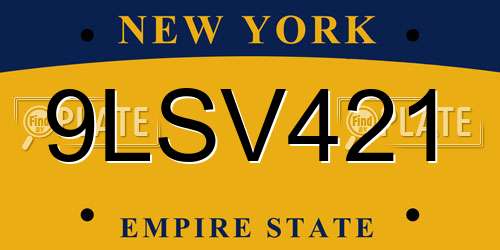 9LSV421 New York License Plate