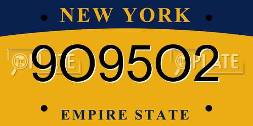 9O95O2 New York License Plate