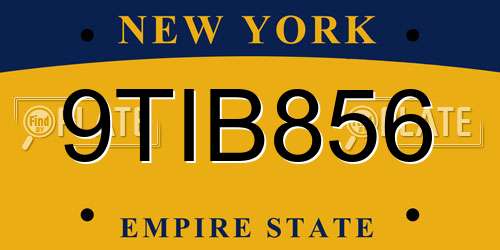 9TIB856 New York License Plate