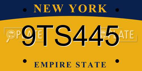 9TS445 New York License Plate