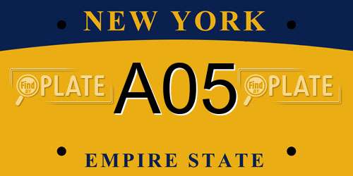 A05 New York License Plate