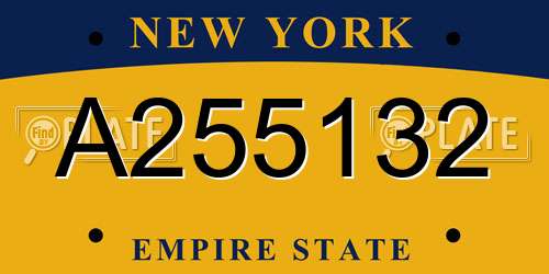 A255132 New York License Plate