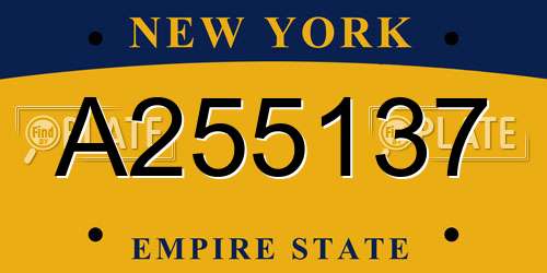 A255137 New York License Plate