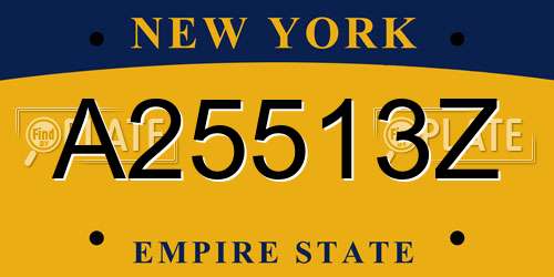 A25513Z New York License Plate