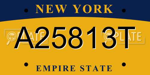 A25813T New York License Plate