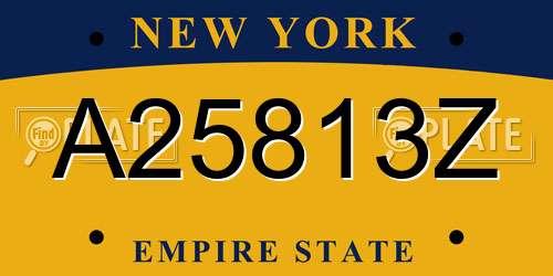 A25813Z New York License Plate