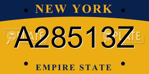 A28513Z New York License Plate