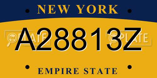 A28813Z New York License Plate