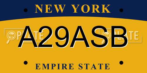 A29ASB New York License Plate