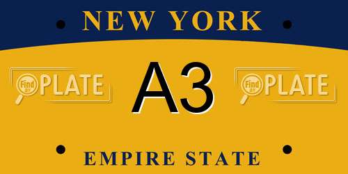 A3 New York License Plate