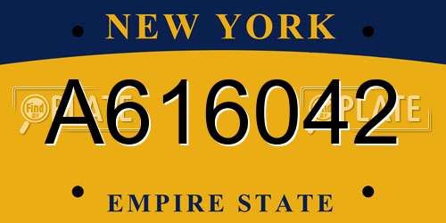 A616042 New York License Plate