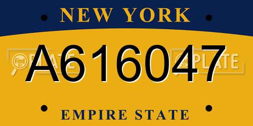 A616047 New York License Plate