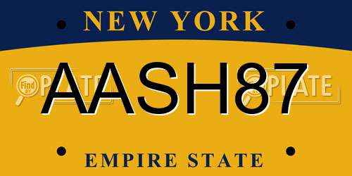 AASH87 New York License Plate