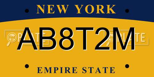 AB8T2M New York License Plate