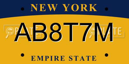 AB8T7M New York License Plate
