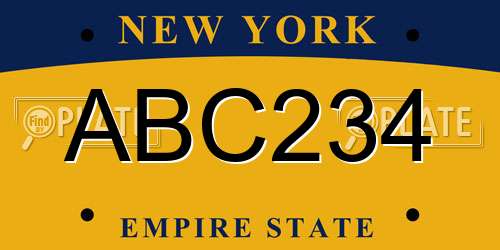 ABC234 New York License Plate