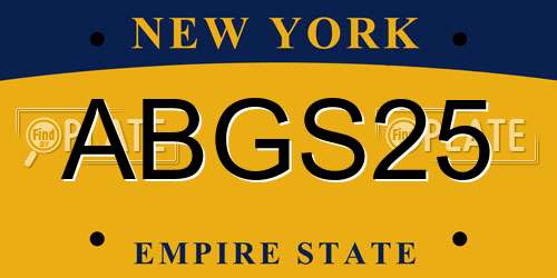 ABGS25 New York License Plate