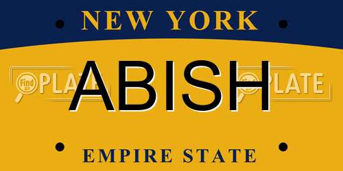 ABISH New York License Plate