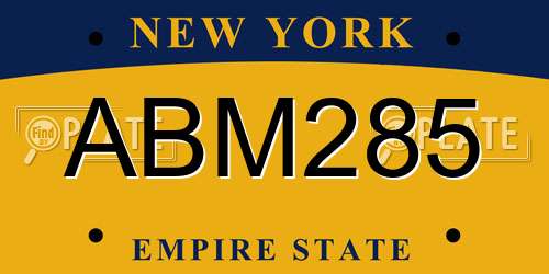 ABM285 New York License Plate