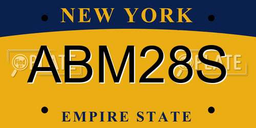 ABM28S New York License Plate