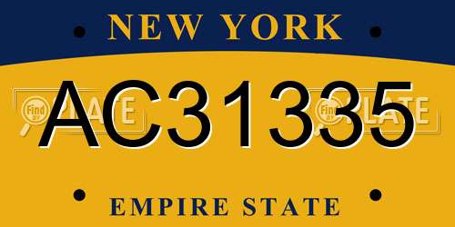 AC31335 New York License Plate